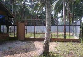 Tips tanam rumput direban ayam kampung. Panduan Memelihara Ayam Kampong Secara Kecilan Teratak Maya Tempatku Lepak