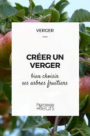 Creer Un Verger Bien Choisir Ses Arbres Fruitiers Arbre Fruitier Verger Fruitier