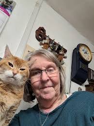 We all had a good night, Flynn and I watched Netflix, maybe mostly me 🙄  It's not cold but not really hot either, hopefully the sun will be here  later, and a