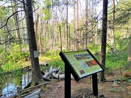 Robinson Woods Preserve Maine Trail Finder In 2020 Ocean House Outdoors Adventure Stone Pillars
