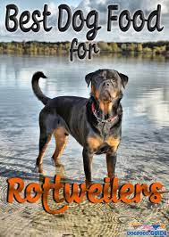 Best Healthiest Dog Food For Rottweilers Best Dog Food Rottweiler Healthy Dog Food Recipes