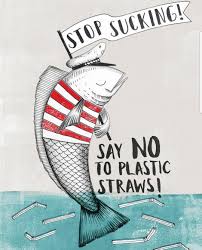 Straws are really that singular item that every day someone can say no to, and it doesn't cause us problems as individuals, she added. Pin Von Clara Ruggeberg Auf Je Ne Sais Quoi Umweltkunst Umweltschutz Ideen