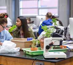 Image result for Science Environment Education