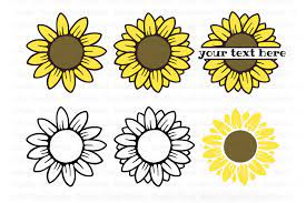 Free Free Split Sunflower Svg Free 636 SVG PNG EPS DXF File