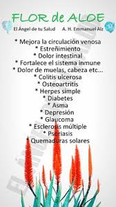 Lista de las principales plantas medicinales para diabetes de uso en medicina natural: 210 Ideas De Plantas Que Curan Plantas Curar Plantas Medicinales