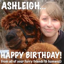 Island Alpaca Farm Blog: 2016