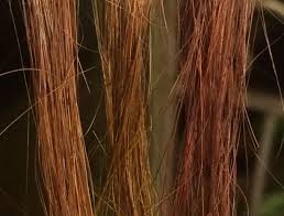 How To Remove Henna And Herbal Hair Dye From Your Hair remove henna and herbal hair dye from