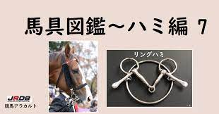 JRDB馬具図鑑～ハミ編【７】「リングハミ」～｜JRDB 競馬アラカルト