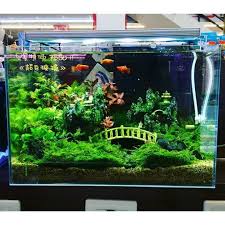 45 Nano Planted Tank Design Inspirations To Displayed At The Office Rooms And Living Room That Will Elim Nature Aquarium Tropical Freshwater Fish Tank Design