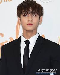 Pin By April On Mingyu Mingyu Seventeen Mingyu Seventeen