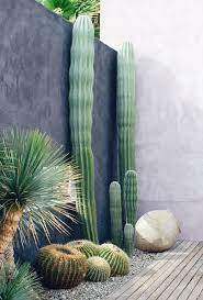 Algunos creen que los cactus proyectan energías negativas en primer lugar, debes saber que los cactus no deben ubicarse cerca de la puerta de entrada. Atrevete Con Los Cactus 15 Inspiradoras Decoraciones Para Patios Y Terrazas