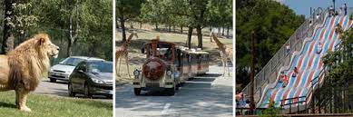 Our classic safari vehicles are customized dodge power wagons and are not ada accessible and unfortunately are not equipped to handle wheelchairs or other mobility. Safari Park Pompia Italien Zwei Grosse Parks Ein Kleiner Preis Comer See Italien