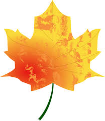 Dengan situs ini, kalian bisa manfaatkan untuk membuat konten, tanpa harus hak cipta. Autumn Colours Fall Free Vector Graphic On Pixabay