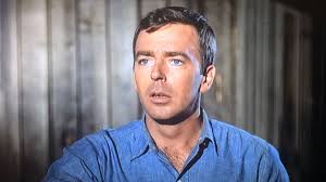 Watch The Andy Griffith Show - Season 8 • Episode 27 - Sam for Town Council  Full Episode Free Online - Plex