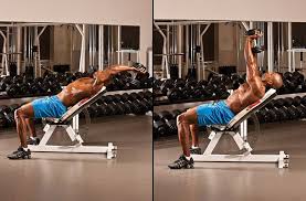 Flat Bench Dumbbell Pullover Press Lateral Best Chest Workout Chest Workouts Chest Workout