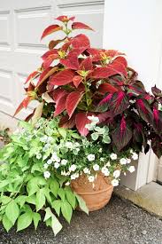 Maybe you would like to learn more about one of these? Container Garden Tips How To Keep Your Flowers Blooming All Summer Long Christine Covino
