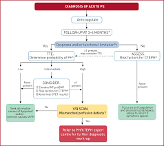 Check spelling or type a new query. 2019 Esc Guidelines For The Diagnosis And Management Of Acute Pulmonary Embolism Developed In Collaboration With The European Respiratory Society Ers European Respiratory Society