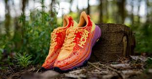 Speedgoat 6