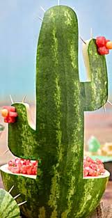 While the leather provides some protection, the cactus spines will sill pierce through. Mexico Carnival Party Festival Decoration Pineapple Watermelon Cactus Balloon Home Garden Balloons