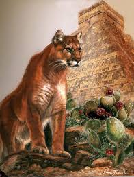 'although some birds merely use a cactus as a convenient perch, others rely on these succulent plants for food and nesting sites and probably couldn't survive without them. In The Shadow Of The Mayan Temple Artist Gina Femrite Animal Paintings Pet Tiger Animals
