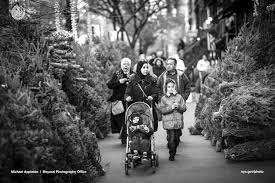 Syria to NYC De Syria a Nueva York