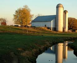 Bird In Hand Half Marathon Home Bird In Hand Half Marathon Amish Farm Another Mother Runner Lancaster County