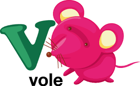 Elegant design of v alphabet.purple and pink color gradient enclosure logo design for . Kids Letter V Sticker Tenstickers