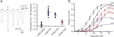 Benzodiazepines Modulate Gabaa Receptors By Regulating The