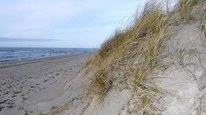Aktuelle informationen zu reisebestimmungen an der nordsee aufgrund des coronavirus & tipps zum nordsee urlaub in zeiten von corona von den küstenkennern. 1l23l4 A97eyam
