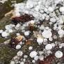 Severe Summer Storms Bring Heavy Rain and Hail to Northern Germany Amid Climate Change Concerns
