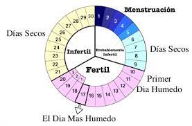 Cuales Son Mis Dias Fertiles Fuete Http Cualesson Org Cuales Mis Dias Fertiles Consejos Para El Embarazo Dias Fertiles Consejos Para Quedar Embarazada