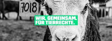 Animals are not ours to experiment on, eat, wear, use for entertainment, or abuse in any other way. Peta Zwei Home Facebook