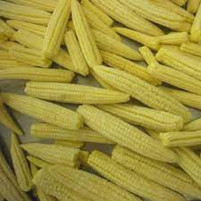 Frozen Baby Corn Frozen Young Corn Naturally Sweet With Premium Quality Buy Frozen Baby Sweet Corn Baby Sweet Corn Frozen Sweet Corn Product On Alibaba Com