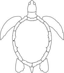 Turtle Outline Md Turtle Outline Sea Turtle Drawing Turtle Drawing