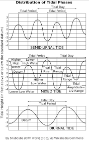 Learn More About Tides Tampabay Wateratlas Org