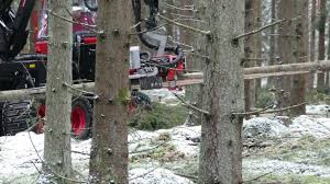 Commercial thinning with small harvester Terri 34C 8wd