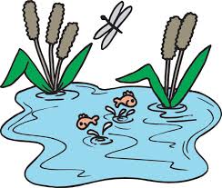 Image result for wetlands clipart