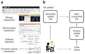 Fiji As A High Powered Distribution Of Imagej A Screenshot Of Download Scientific Diagram