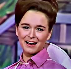 The Lawrence Welk Sisters' Achievements and Harmony