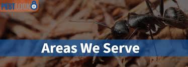 Safe and professional wildlife removal. Pest Control Services Oregon And Washington Contact Our Local Exterminators Today Pestlock