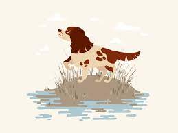 It's the year of the dog according to chinese traditions so why not creat. How To Vector A Cartoon Hunting Dog In Adobe Illustrator