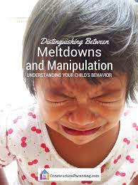 The toilet in the guest bathroom, and give him a thorough scrubdown? Meltdowns V Manipulation Parenting Tips On How To Respond To Each