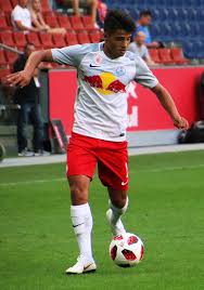 Für zusätzlichen optimismus in den reihen des gastgebers sorgt der 1:3 auswärtserfolg in der uefa europa league gegen den slowenischen meister nš mura.im gegensatz dazu sieht die situation im kader von austria wien völlig anders aus, da die. Jusuf Gazibegovic Wikipedia