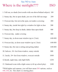 Learn About Your Iso Setting I Heart Nap Time Photography Lessons Photography Techniques Photography Basics
