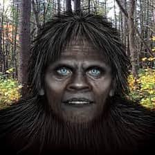 You do realize the vast majority of witnesses describe the face of Bigfoot  as a HUMAN face, right? I find it interesting that almost every piece of  ARTWORK out there depicting Bigfoot,