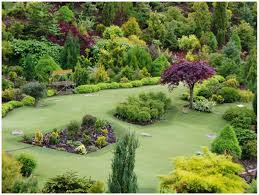 We did not find results for: Conifers Dalam Reka Bentuk Landskap 75 Idea Yang Indah Dalam Foto