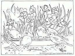 Jul 20, 2020 · the idea of sitting down and coloring was downright laughable. Adult Coloring Pages Free Spring Coloring Home