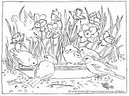 According to the countries, the time of spring is different. Adult Coloring Pages Free Spring Coloring Home
