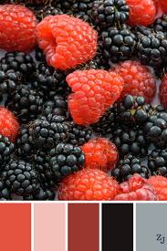 Pin On Color Combinations