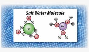 Check spelling or type a new query. Salt Water Molecule Salt And Water Molecule Png Image Transparent Png Free Download On Seekpng